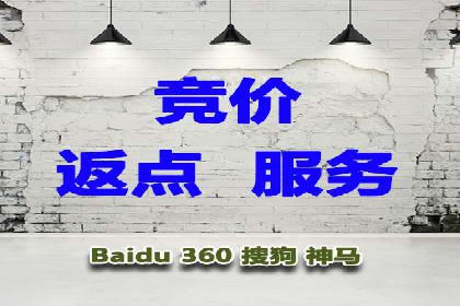 百度SEM代运营案例揭秘，如何实现ROI最大化